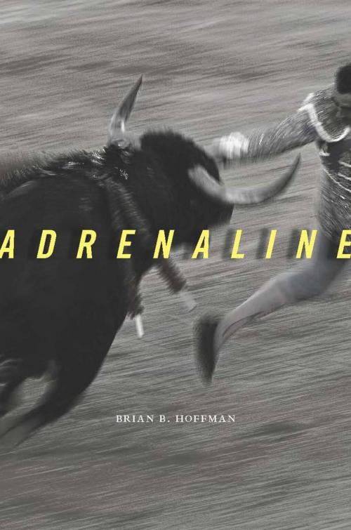 Cover of the book Adrenaline by Brian B. Hoffman, Harvard University Press