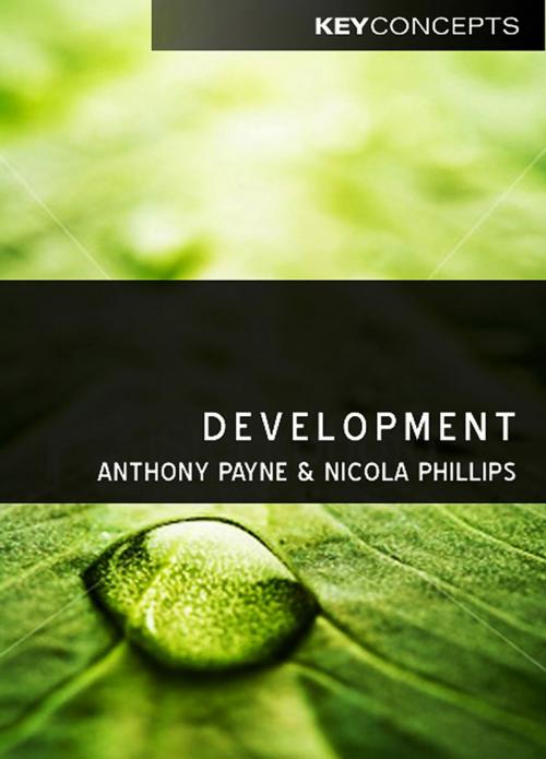 Cover of the book Development by Anthony Payne, Nicola Phillips, Wiley