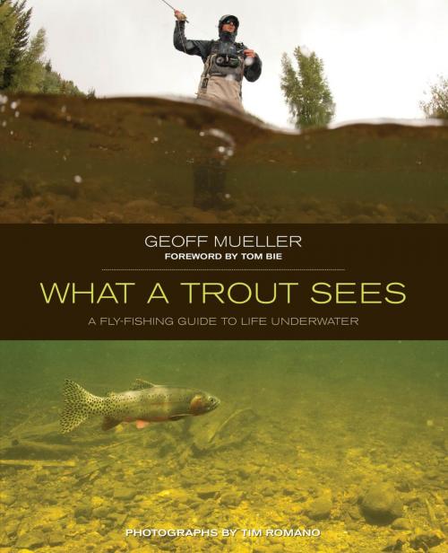 Cover of the book What a Trout Sees by Geoff Mueller, Lyons Press