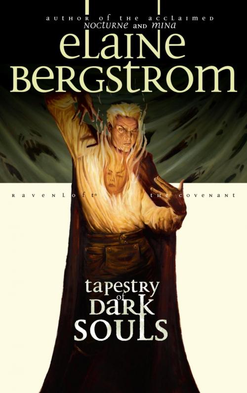 Cover of the book Tapestry of Dark Souls by Elaine Bergstrom, Wizards of the Coast Publishing