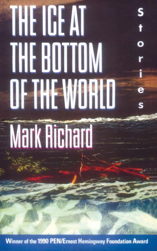 Cover of the book The Ice at the Bottom of the World by Mark Richard, Knopf Doubleday Publishing Group