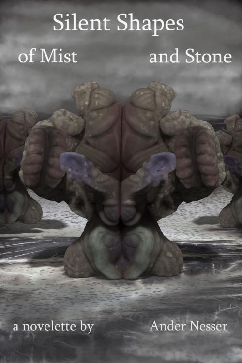 Cover of the book Silent Shapes of Mist and Stone by Ander Nesser, Ander Nesser