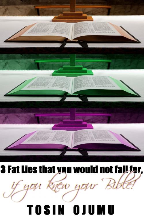 Cover of the book 3 Fat Lies That You Would Not Fall For, If You Knew Your Bible by Tosin Ojumu, Oruko Oluwa