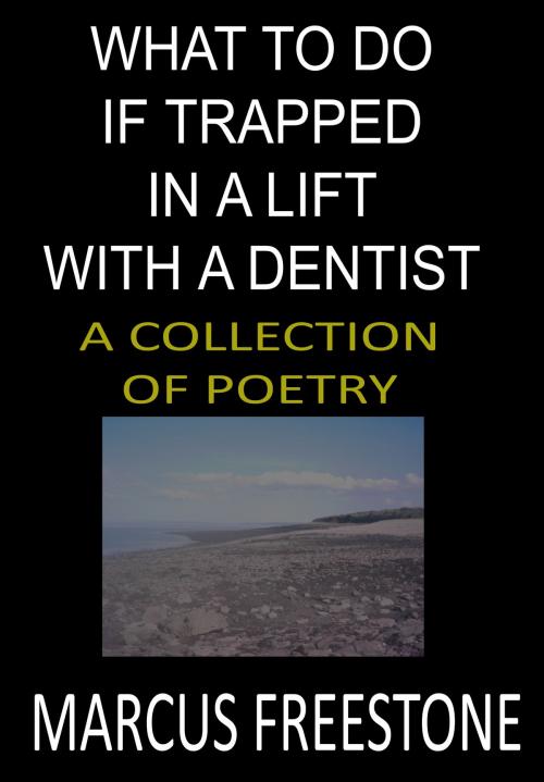 Cover of the book What To Do If Trapped In A Lift With A Dentist by Marcus Freestone, Marcus Freestone