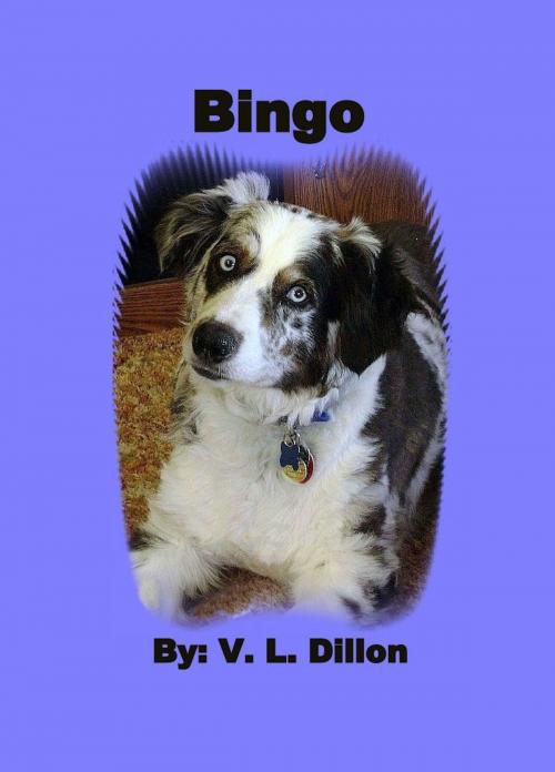 Cover of the book Bingo by V. L. Dillon, V. L. Dillon