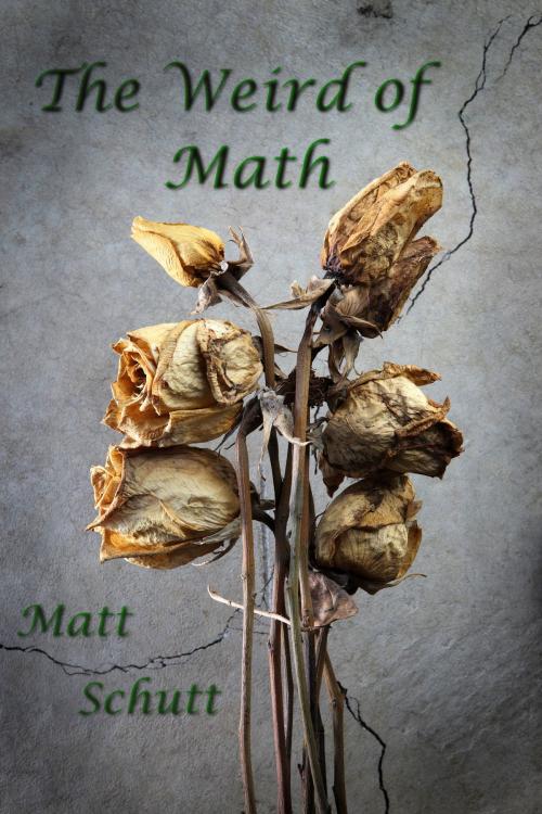 Cover of the book The Weird of Math by Matt Schutt, Matt Schutt