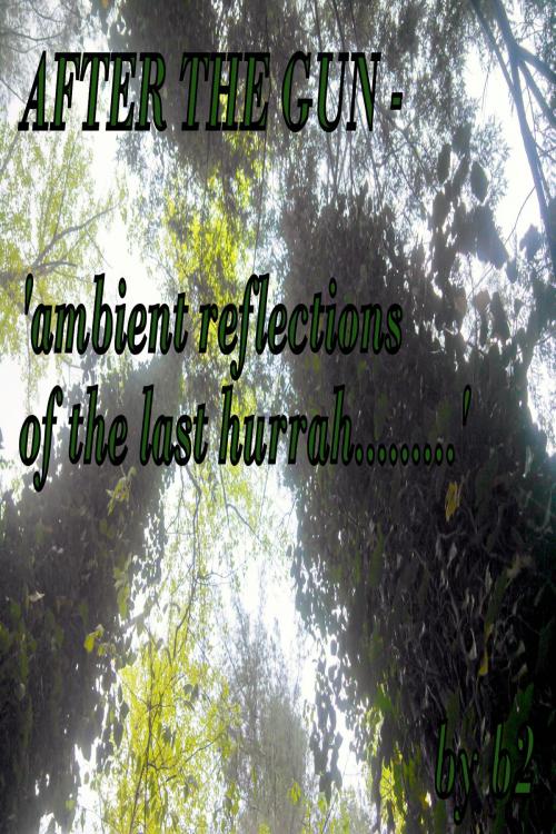 Cover of the book After The Gun: 'ambient reflections of the last hurrah'......... by Bryan b2 Byrd, Bryan b2 Byrd