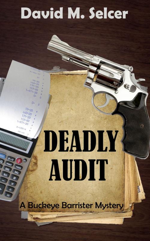 Cover of the book Deadly Audit by David M Selcer, Cozy Cat Press