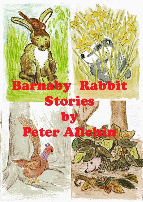 Cover of the book Barnaby Rabbit Stories by Peter Allchin, Peter Allchin