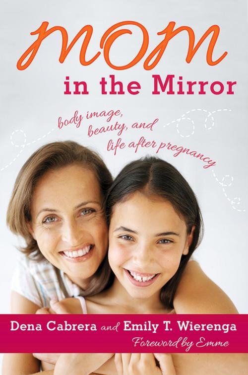 Cover of the book Mom in the Mirror by Dena Cabrera, Emily T. Wierenga, Rowman & Littlefield Publishers