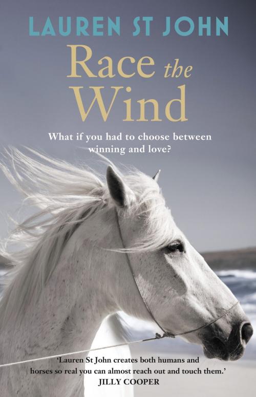 Cover of the book The One Dollar Horse: Race the Wind by Lauren St John, Hachette Children's