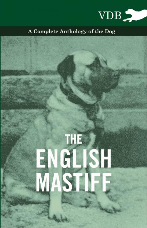 Cover of the book The English Mastiff - A Complete Anthology of the Dog by Various Authors, Read Books Ltd.