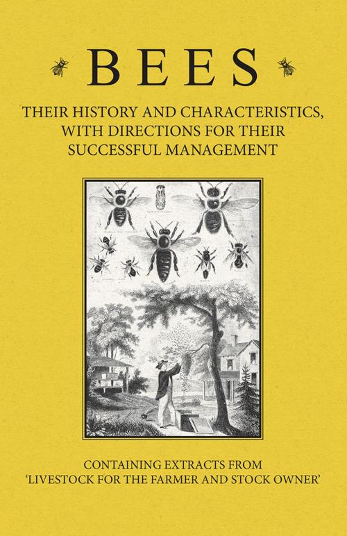 Cover of the book Bees - Their History and Characteristics, With Directions for Their Successful Management - Containing Extracts from Livestock for the Farmer and Stock Owner by A. H. Baker, Read Books Ltd.