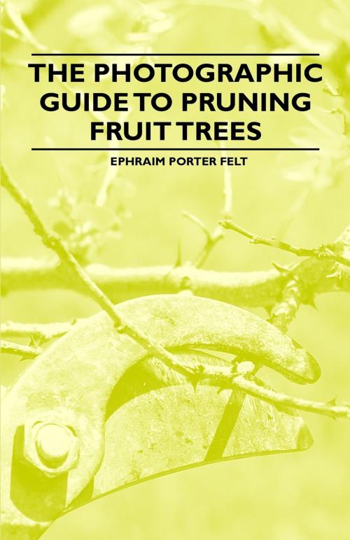 Cover of the book The Photographic Guide to Pruning Fruit Trees by Ephraim Felt, Read Books Ltd.