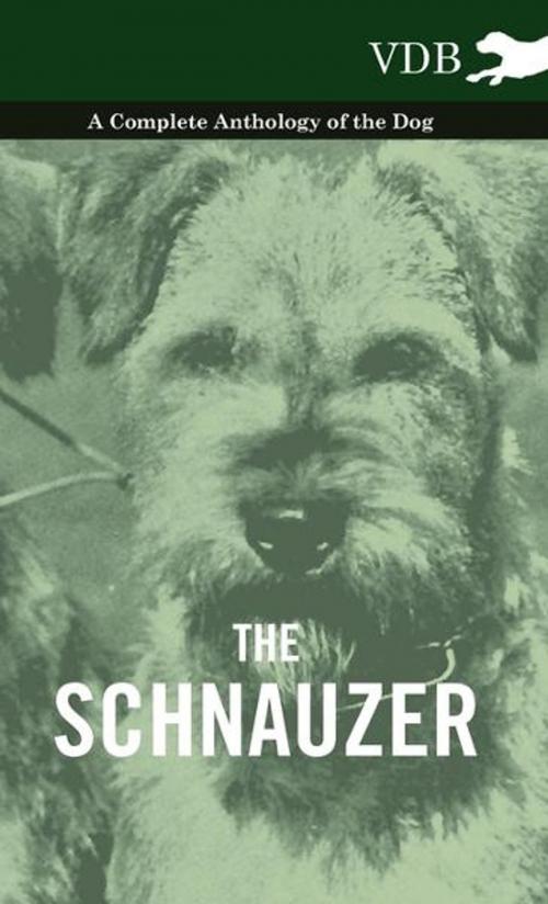 Cover of the book The Schnauzer - A Complete Anthology of the Dog by Various Authors, Read Books Ltd.