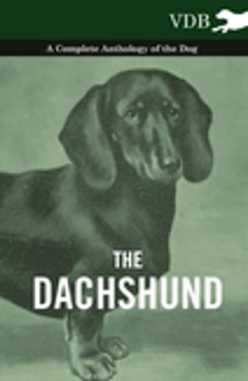 Cover of the book The Dachshund - A Complete Anthology of the Dog - by Various Authors, Read Books Ltd.