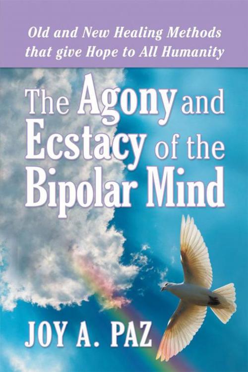 Cover of the book The Agony and Ecstasy of the Bipolar Mind by Joy A. Paz, WestBow Press