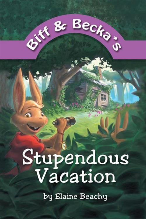 Cover of the book Biff and Becka's Stupendous Vacation by Elaine Beachy, WestBow Press