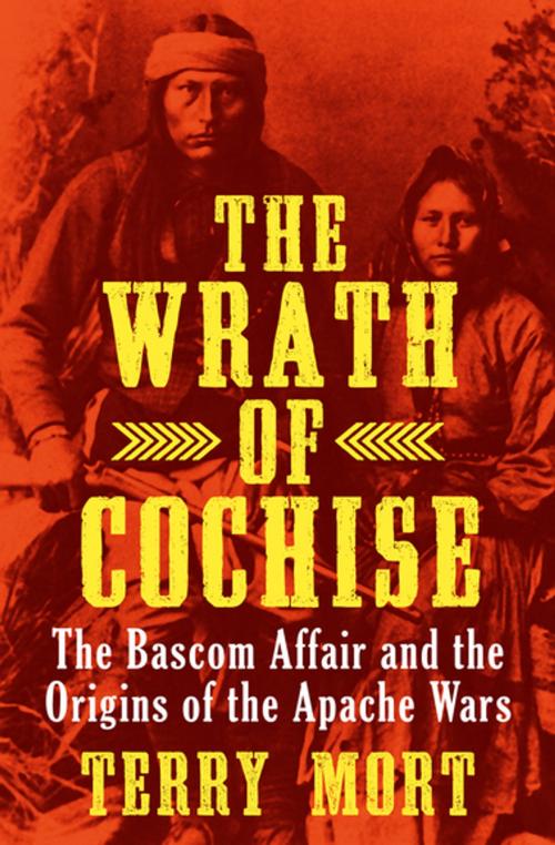 Cover of the book The Wrath of Cochise by Terry Mort, Pegasus Books