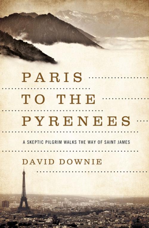 Cover of the book Paris to the Pyrenees by David Downie, Pegasus Books