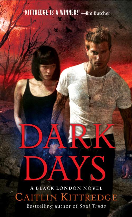 Cover of the book Dark Days by Caitlin Kittredge, St. Martin's Press