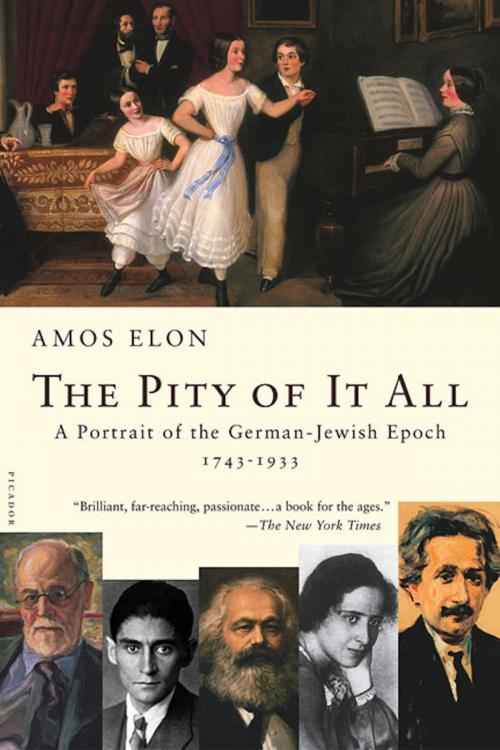 Cover of the book The Pity of It All by Amos Elon, Henry Holt and Co.