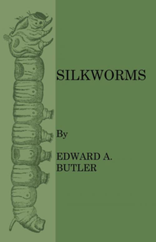 Cover of the book Silkworms by Edward A. Butler, Read Books Ltd.