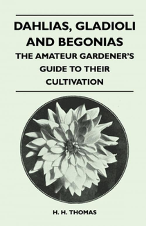 Cover of the book Dahlias, Gladioli and Begonias - The Amateur Gardener's Guide to Their Cultivation by H. H. Thomas, Read Books Ltd.