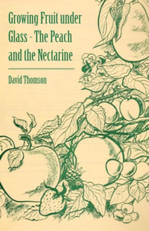 Cover of the book Growing Fruit under Glass - The Peach and the Nectarine by David Thomson, Read Books Ltd.