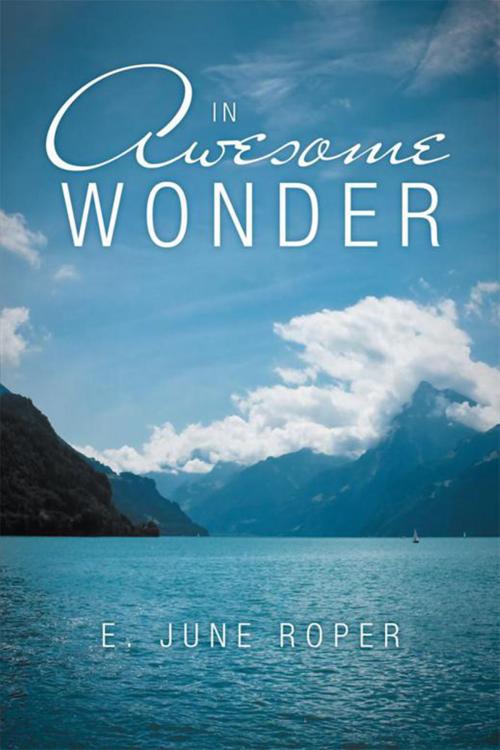 Cover of the book In Awesome Wonder by E. June Roper, Xlibris US