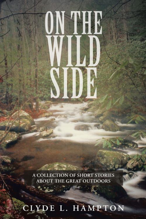 Cover of the book On the Wild Side by Clyde L. Hampton, AuthorHouse