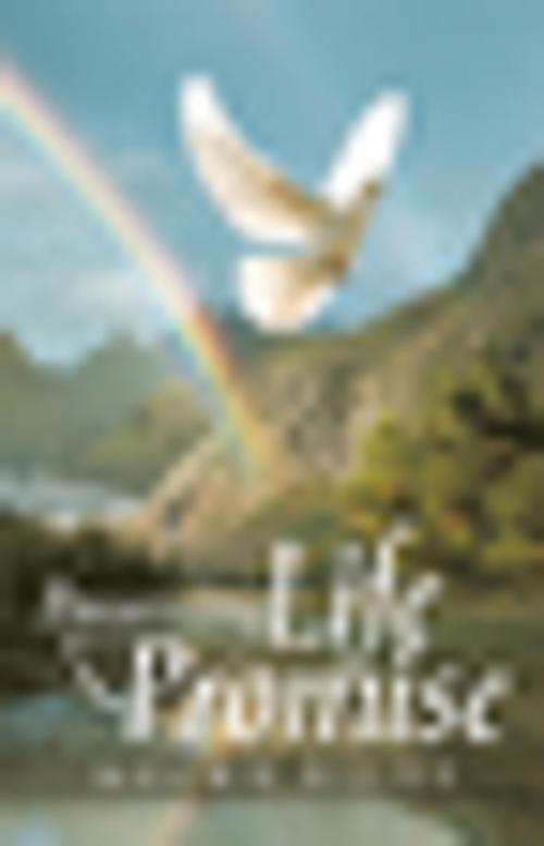 Cover of the book Possessing Life Promise by Mecka Riles, Xlibris US