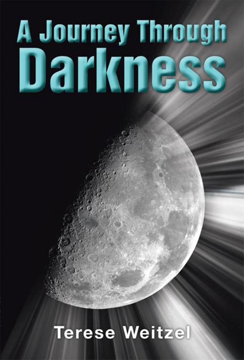 Cover of the book A Journey Through Darkness by Terese Weitzel, Xlibris US