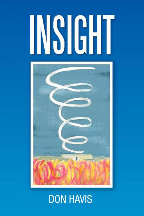 Cover of the book Insight by Don Havis, Xlibris US