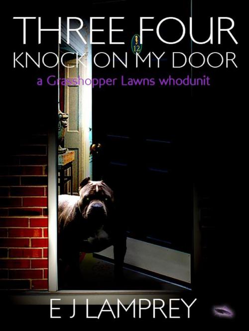 Cover of the book Three Four Knock On My Door by EJ Lamprey, EJ Lamprey