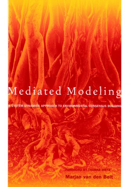 Cover of the book Mediated Modeling by Marjan van den Belt, Island Press