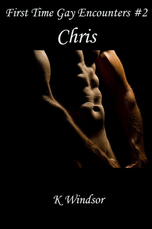 Cover of the book First Time Gay Encounters #2 by K Windsor, Black Serpent Erotica