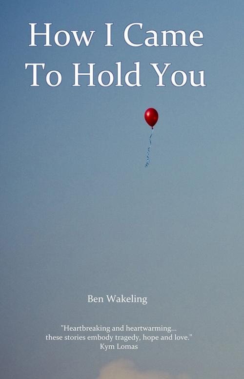 Cover of the book How I Came To Hold You by Ben Wakeling, Troubador Publishing Ltd