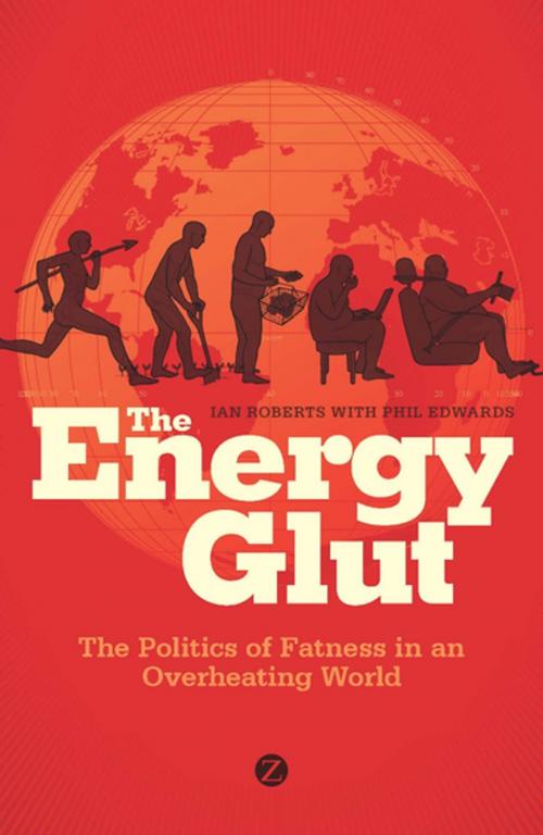 Cover of the book The Energy Glut by Ian Roberts, Zed Books