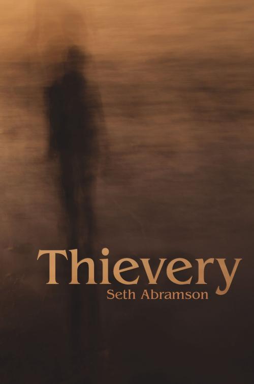 Cover of the book Thievery by Seth Abramson, University of Akron Press