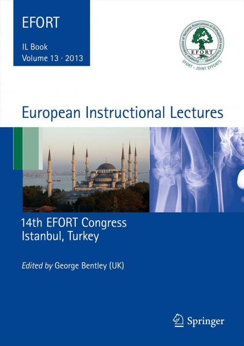 Cover of the book European Instructional Lectures by , Springer Berlin Heidelberg