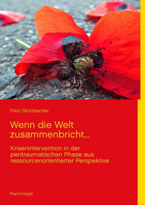 Cover of the book Wenn die Welt zusammenbricht... by Timo Grünbacher, Books on Demand