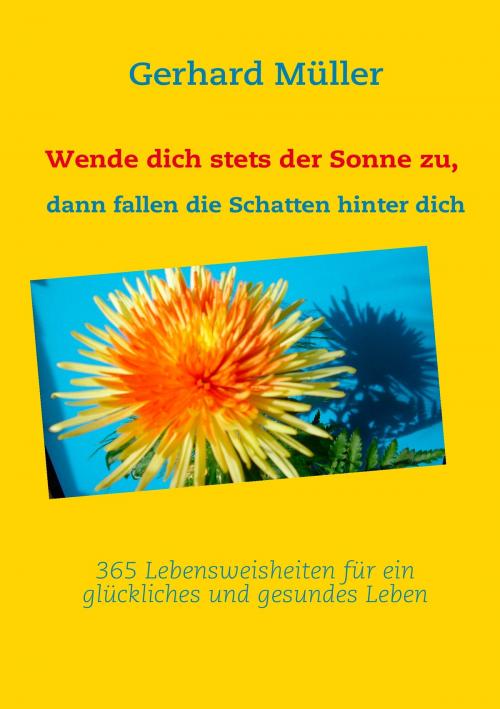 Cover of the book Wende dich stets der Sonne zu, dann fallen die Schatten hinter dich by , Books on Demand