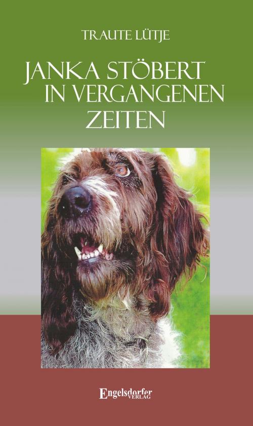 Cover of the book Janka stöbert in vergangenen Zeiten by Traute Lütje, Engelsdorfer Verlag