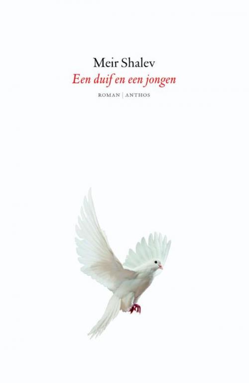 Cover of the book Een duif en een jongen by Meir Shalev, Ambo/Anthos B.V.