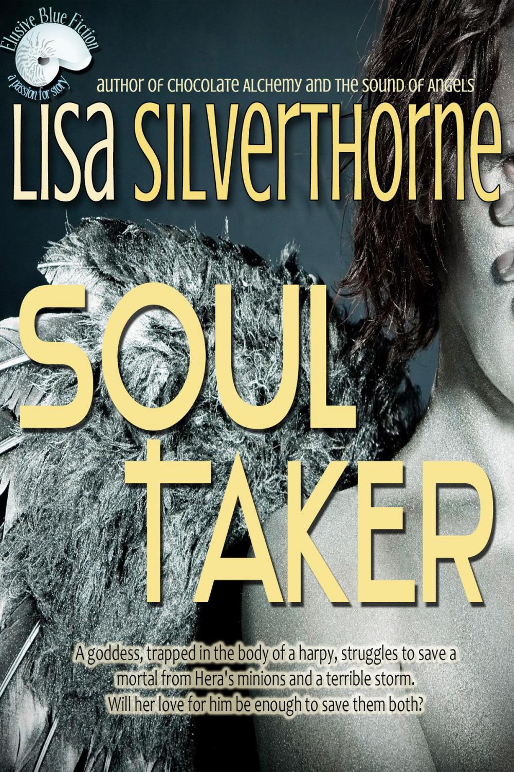 Big bigCover of Soul Taker