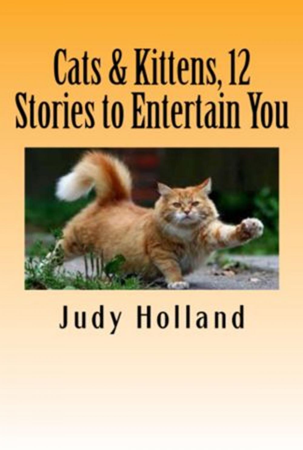 Big bigCover of 12 More Cat Stories to make you Smile and Laugh!