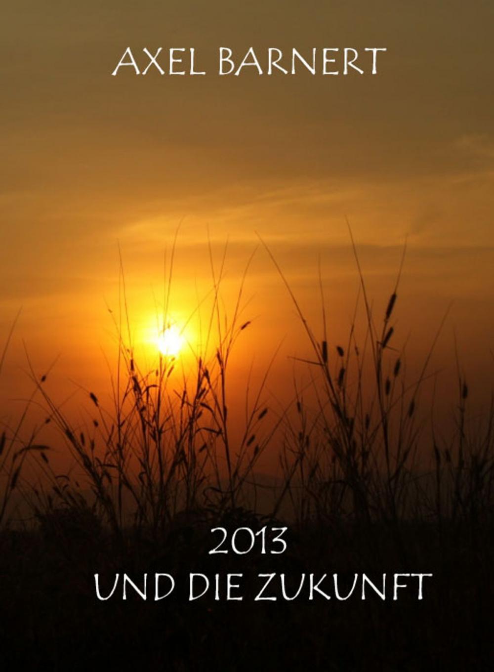 Big bigCover of 2013 UND DIE ZUKUNFT