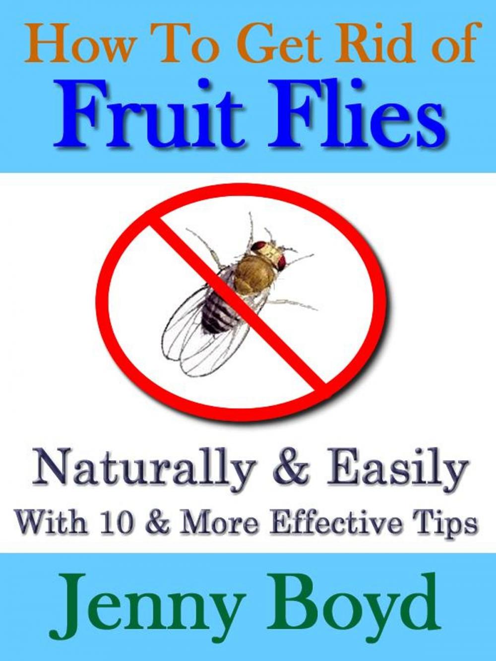 Big bigCover of How To Get Rid of Fruit Flies: Naturally & Easily