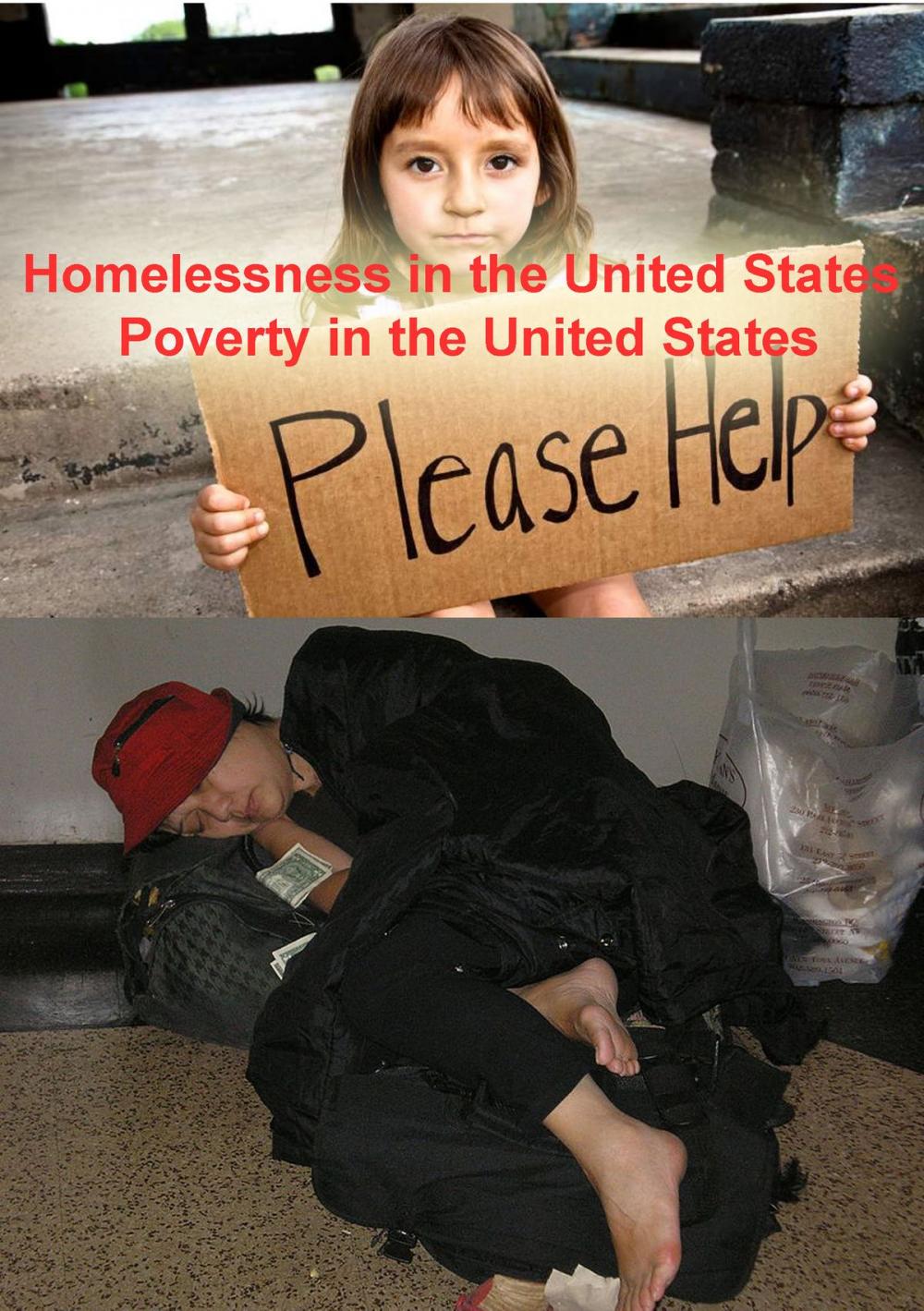 Big bigCover of Homelessness in the United States 1095 Pages